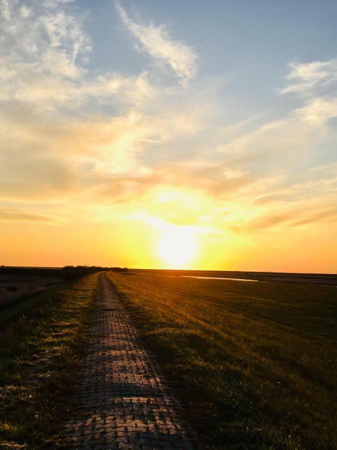 Moewennest II Daire Emden Dış mekan fotoğraf